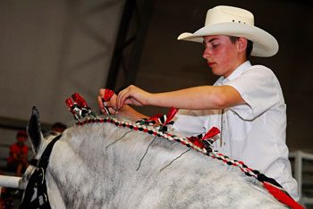 b&sjul18-livestock