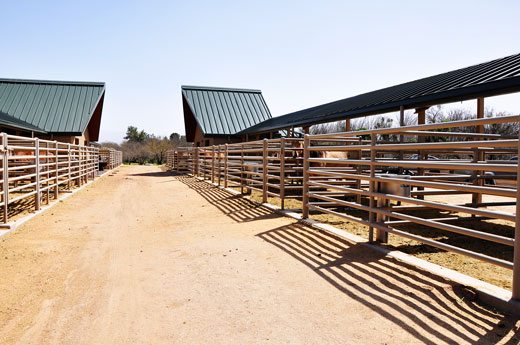 Stud-barn