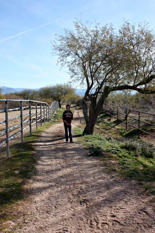 azjan19trail