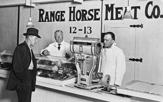 horsemeat