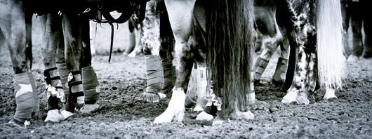mj-hoofbootsIMG_7605