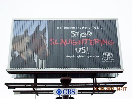 mjbillboardinactioncanada