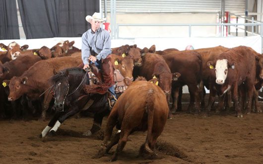BSN-June-2012-EWR-Pedersen Calgary Stampede