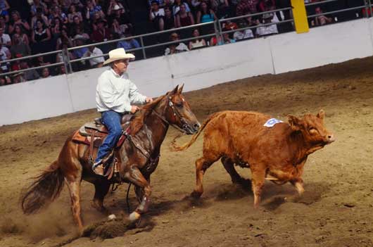 BSN-July-2012-1Stampede-hig