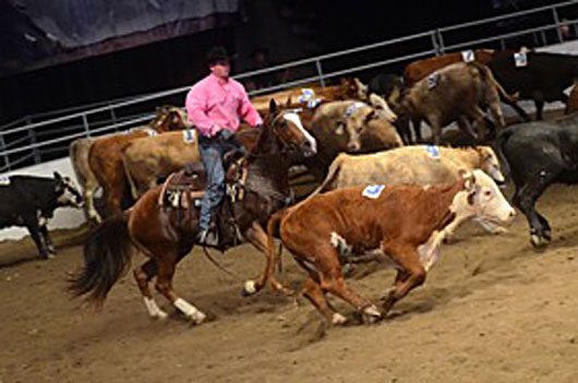BSN-July-2012-CS-Open-Class Calgary Stampede Team Penning Joel Lesh