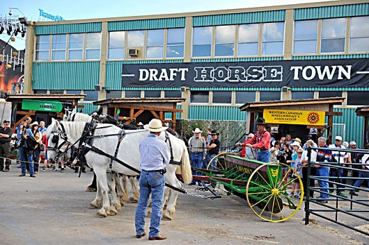 BSN-July-2012-Draft-Horse-T Draft Horse Town Calgary Stampede