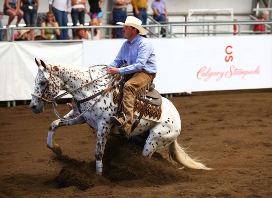 BSN-July-2012-Stamp.-Cow-Ho Calgary Stampede’s Working Cow Horse Classic