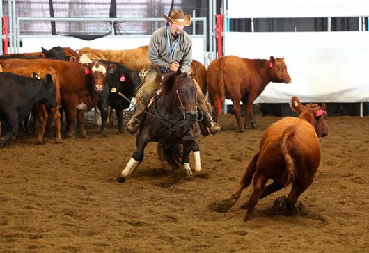 BSN-July-2012-Stampede-Cutt Calgary Stampede Cutting Dustin Gonnet