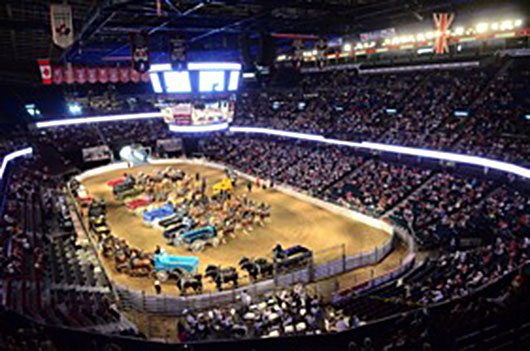 BSN-July-2012CS-Horse-Hitch