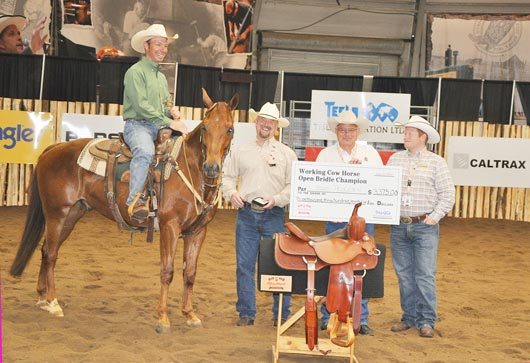 Brad-Pedersen-Stampede-WCH-web