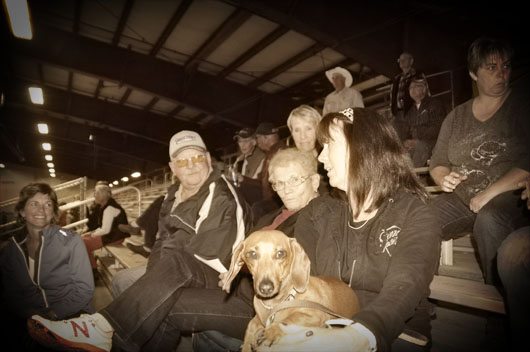 Canada's Cheering Section