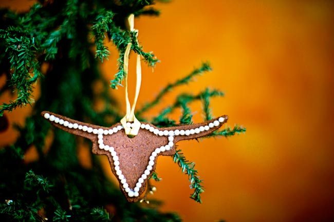 ornament.longhorn