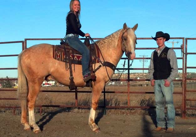 yellowstone livestock auction