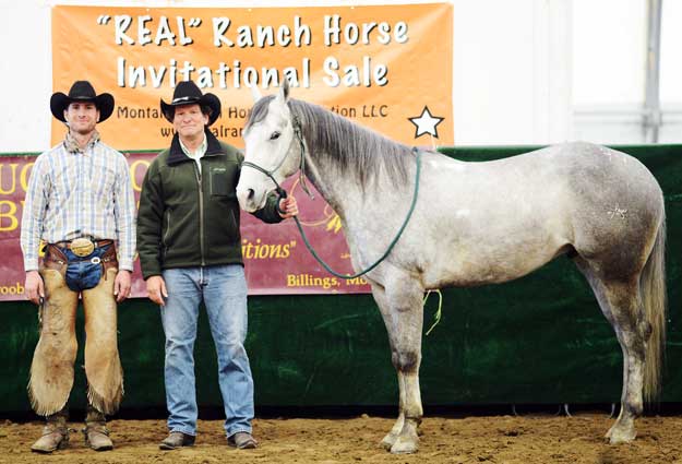 Montana-Real-Ranch-Horse-Sale Real Ranch Horse Sale