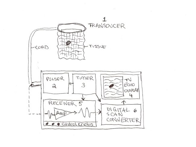 Anatomy of an ultrasound machine.