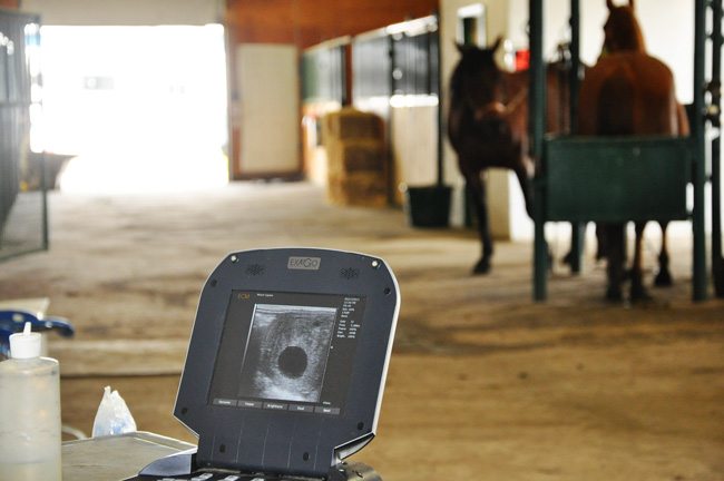 An ultrasound machine. Pic by Jenn Webster
