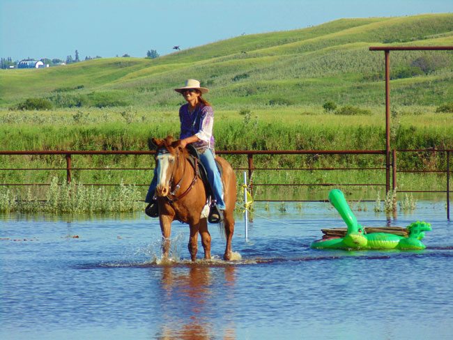SPHC 3rd Annual Trail Ride and Trail Challenge