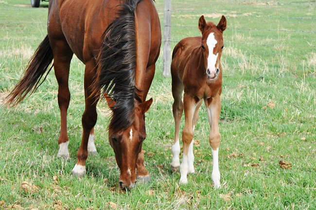 Happy breeding season!
