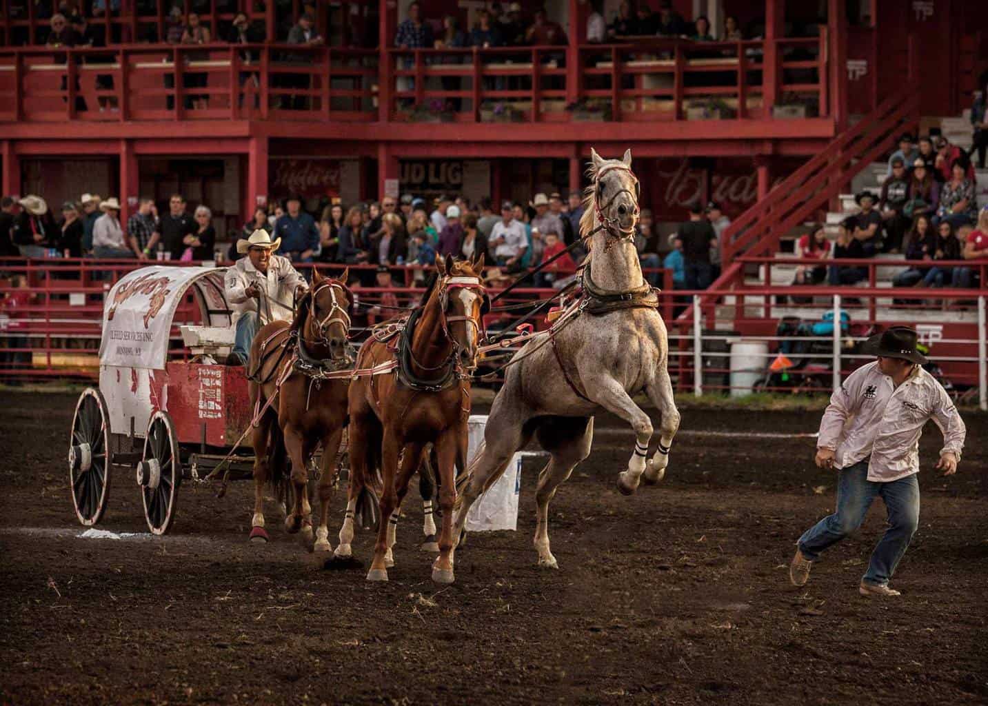 101st Teepee Creek Stampede