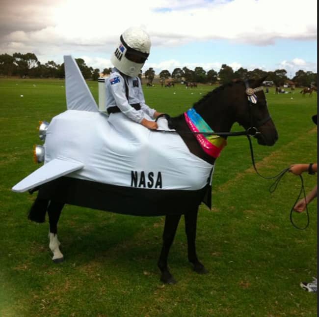 Horse Halloween Costumes