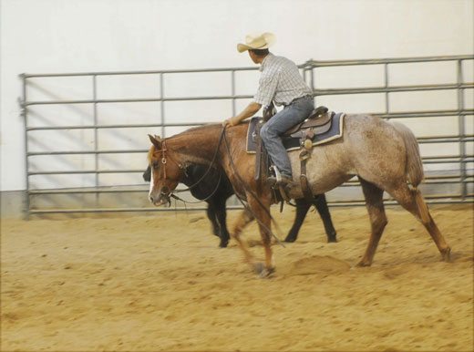 Blog-lead-in---Dale-&-Smooth-6