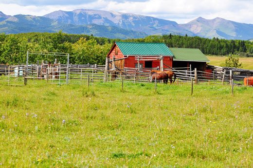The-corrals