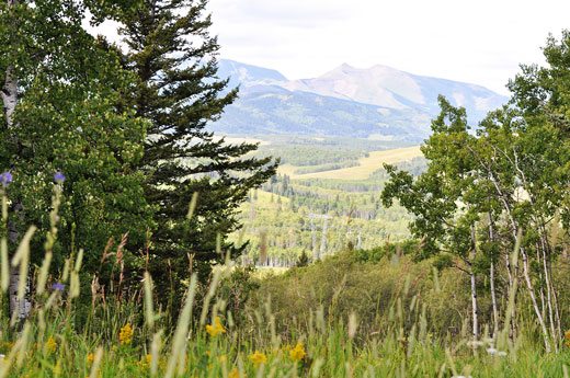 View-from-the-ranch