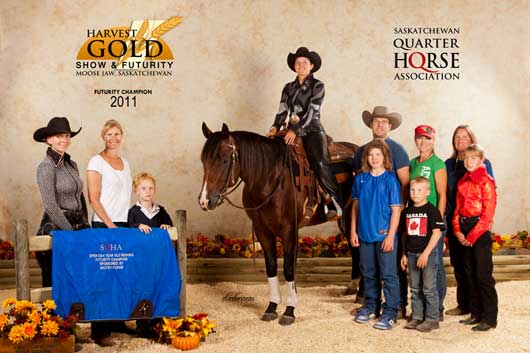 BSN-Harvest-Gold-QH-Sept-2011.2
