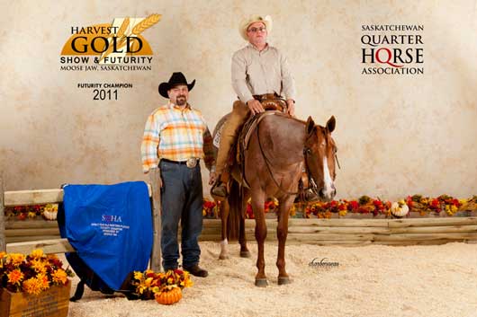 BSN-Harvest-Gold-QH-Show-Sept-2011.6 Harvest Gold QH Show Western Pleasure 2 year old