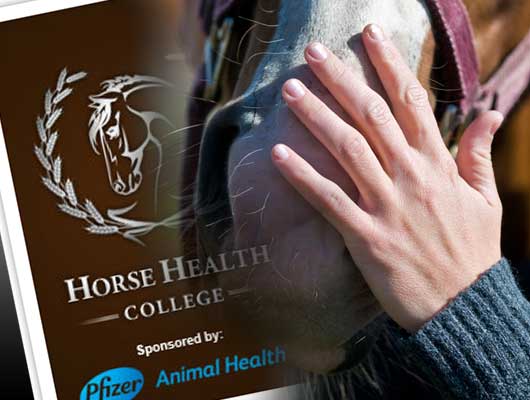 BSN-December-2011-Pfizer-Animal-Health Pfilzer Animal Health Horse Health College Free Courses