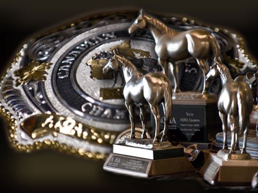 Ford american quarter horse youth association #6