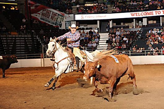 BSN-July-2012-Team-Penning Calgary Stampede Team Penning