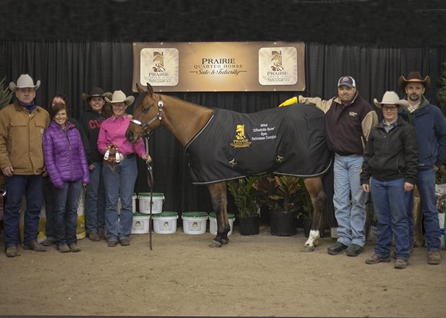 PH( 1) Affordable Barns Open Champion