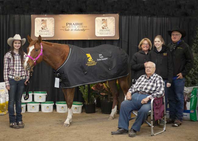 PH(-3)-Youth-Ranch-Horse-x