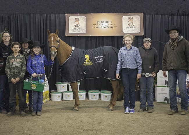 PH(3) youth 2 yr horses class