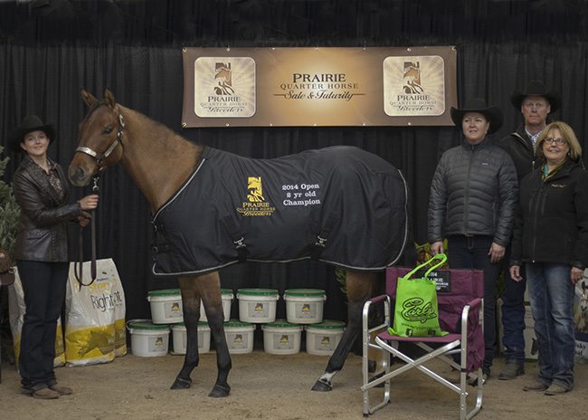 PH(4) Open 2 Yr Champion