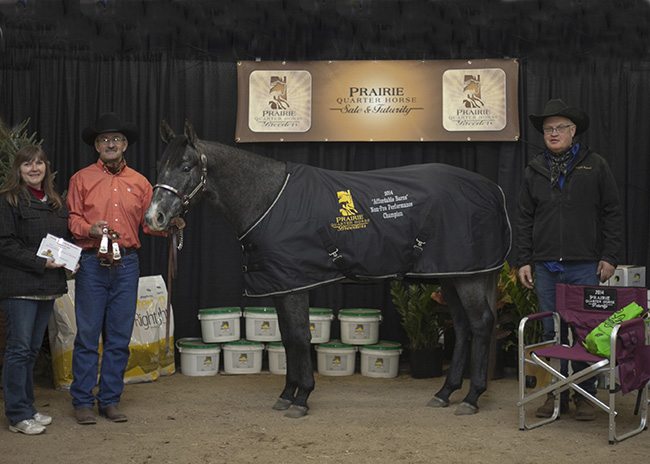 PHNon Pro Permance Champion