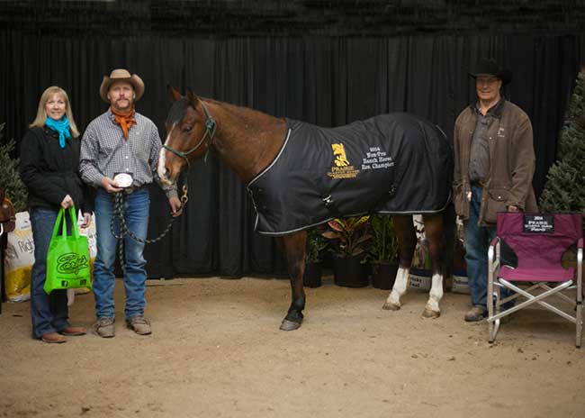 PHNon-Pro-Reserve-Ranch-Horse