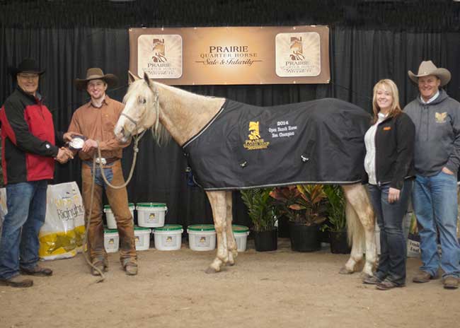 PHOpen-RanchHorse-Reserve-Champion