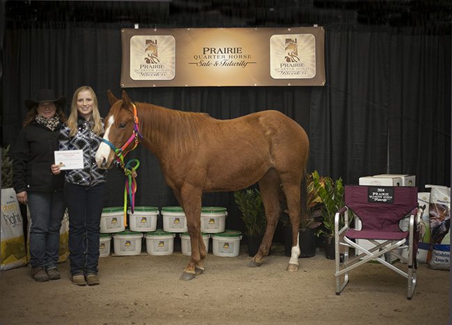 PHRes Open 2 yr old class