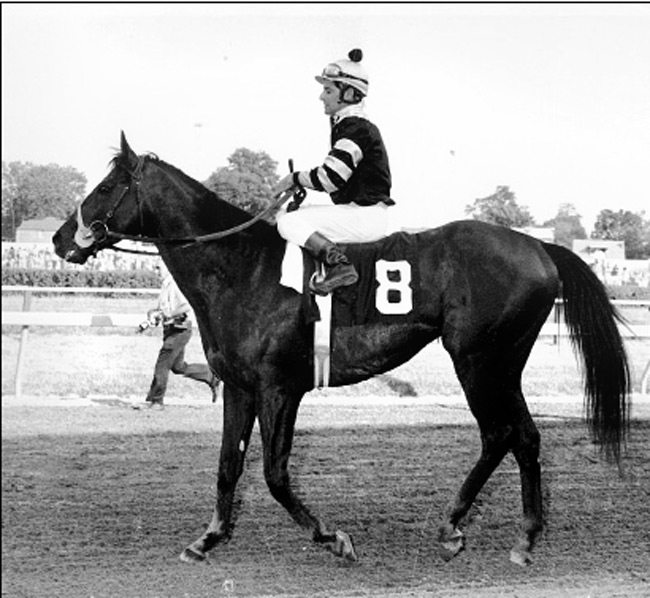 SeattleSlew