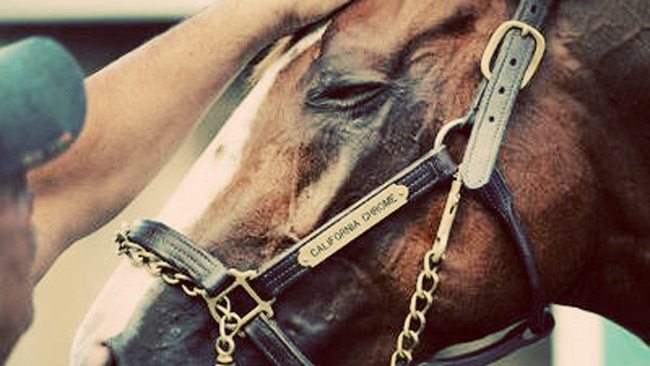aaachromeheadstall