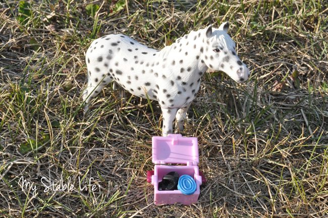 Schleich grooming set