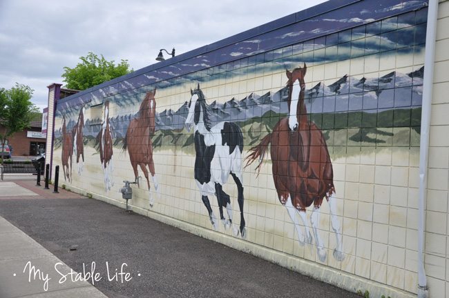 Monkey Mountain Toys & Games in Okotoks, AB. Horse mural