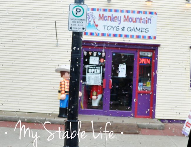 Monkey Mountain Toys & Games, Okotoks, AB