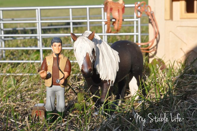 Schleich veterinarian