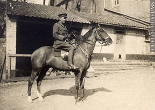 War Horse