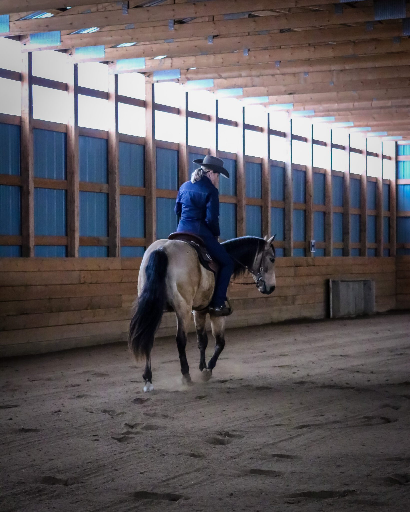 Improve Your Western Riding With These 9 Tips Western Horse Review Improve Your Western Riding With These 9 Tips Western Horse Review